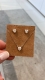 Colar Moissanite Pure Love