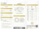 Brinco Moissanite Eternal Heart 1CT